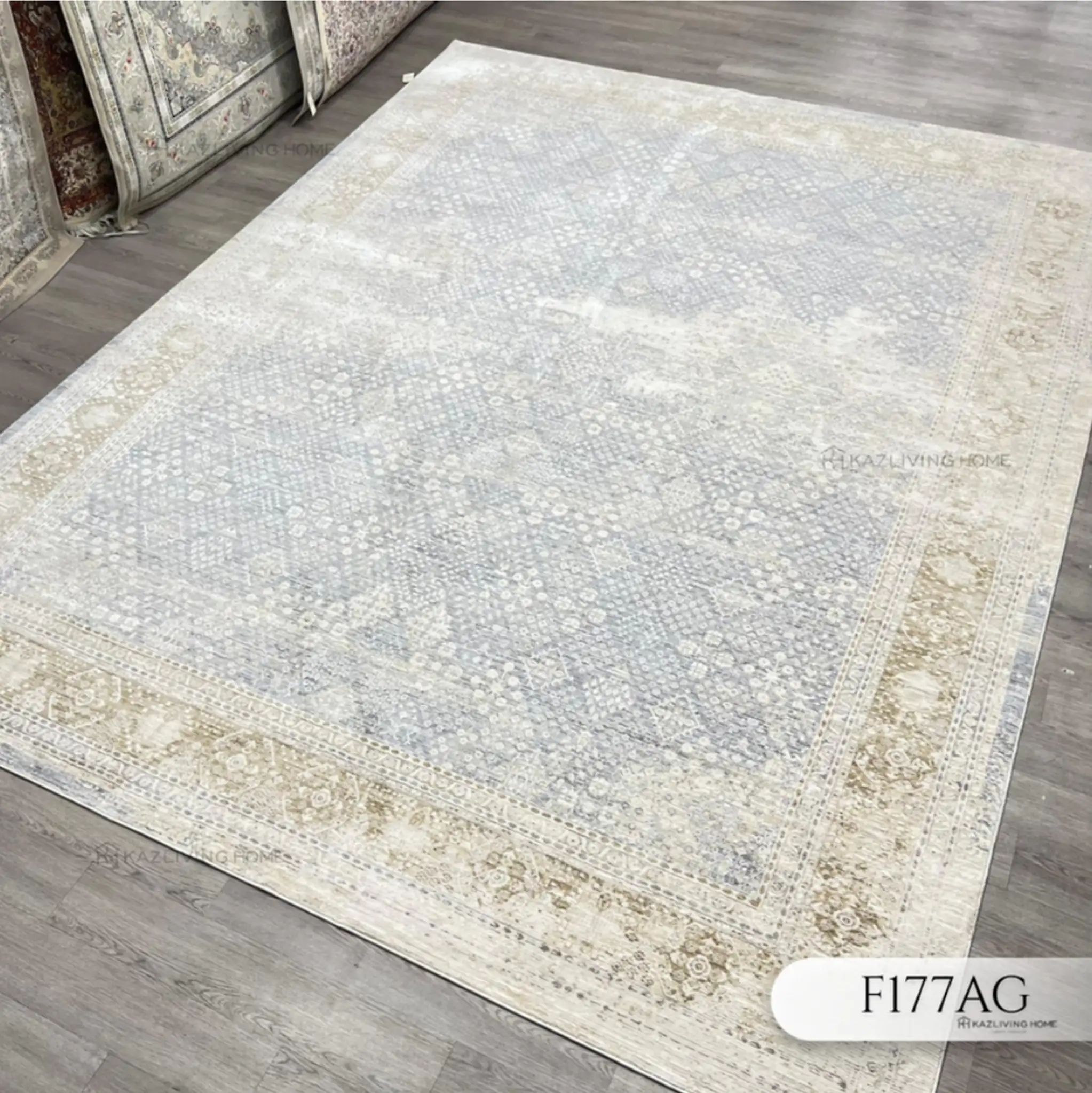 F177AG.webp