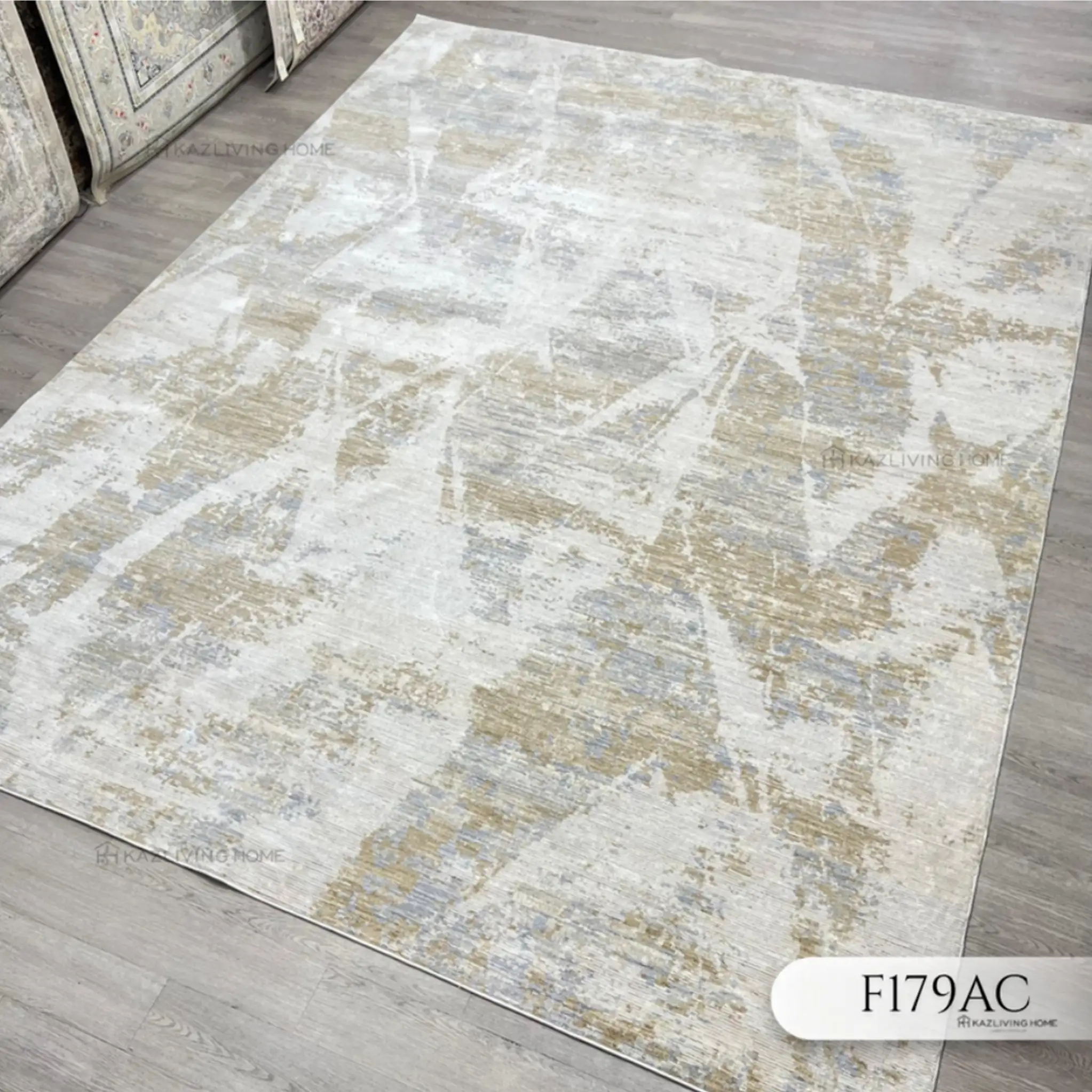 F179AC.webp